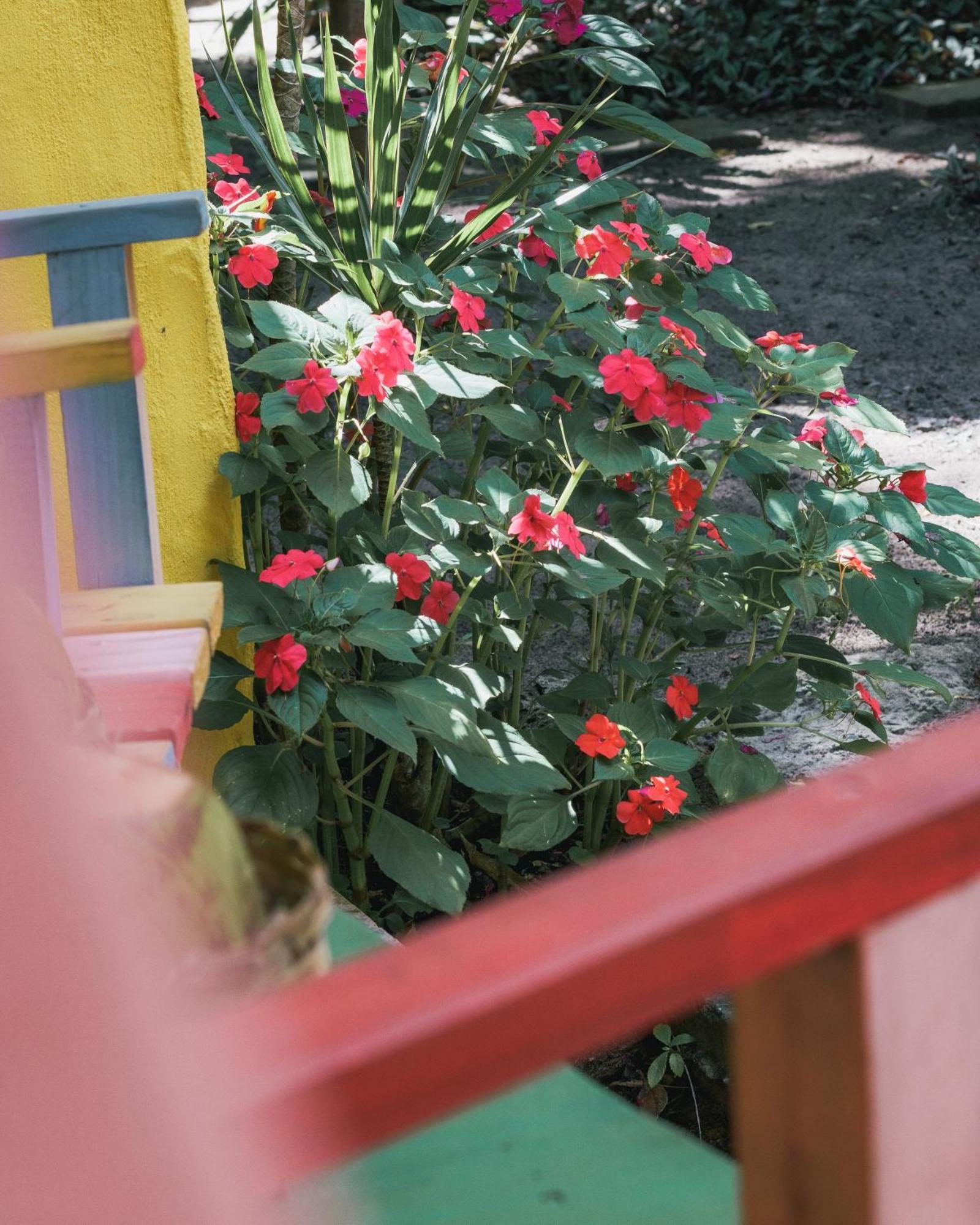 Hotel Butterfly House Bahia Marau  Exteriér fotografie