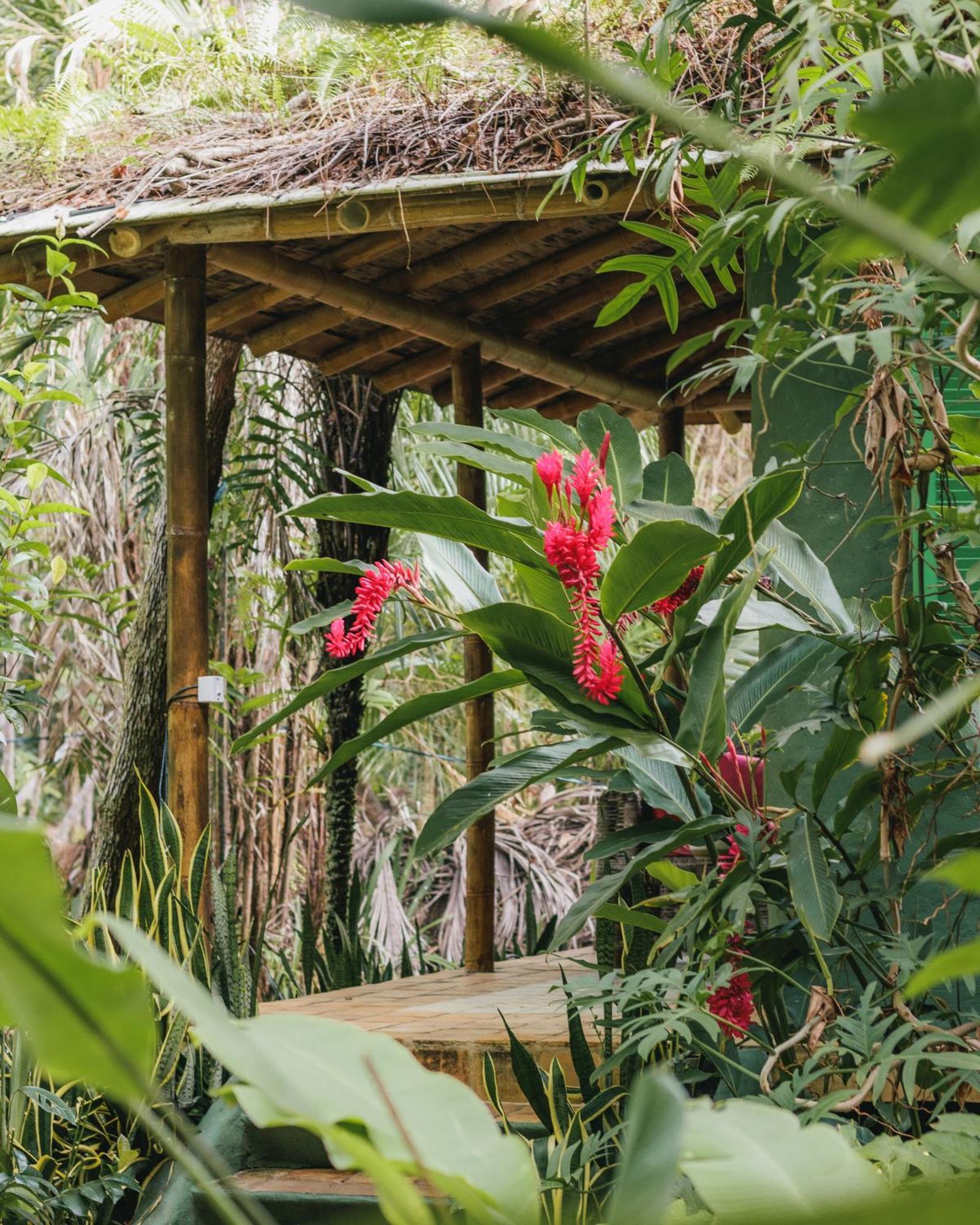 Hotel Butterfly House Bahia Marau  Exteriér fotografie